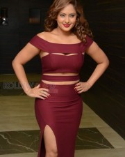 Actress Nikesha Patel New Pics 02