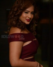 Actress Nikesha Patel New Pics 26