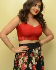 Actress Nikesha Patel New Stills 19