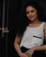 Actress Nikesha Patel Sexy Pictures 28
