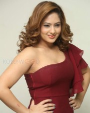 Actress Nikesha Patel Sexy Red Dress Photos 11