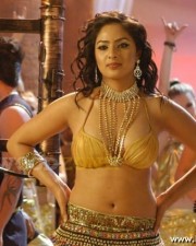 Actress Nikisha Patel Stills 09