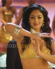 Actress Nikisha Patel Stills 10