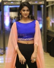 Actress Palak Lalwani At Juvva Movie Audio Launch Photos 10