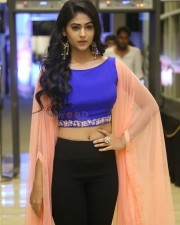 Actress Palak Lalwani At Juvva Movie Audio Launch Photos 18