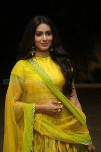 Actress Pallavi Subhash New Photos 07