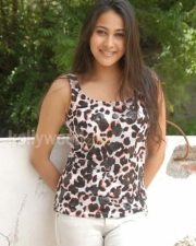 Actress Panchi Bora Cute Pictures 04