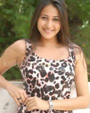 Actress Panchi Bora Cute Pictures 05