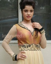 Actress Piaa Bajpai Photos 07