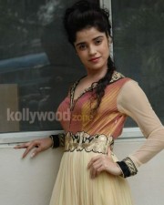 Actress Piaa Bajpai Photos 12