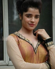 Actress Piaa Bajpai Photos 14