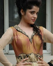 Actress Piaa Bajpai Photos 15