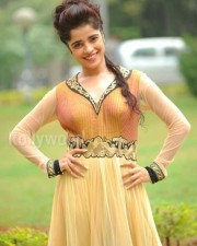 Actress Piaa Bajpai Photos 17