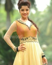 Actress Piaa Bajpai Photos 21