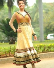 Actress Piaa Bajpai Photos 22