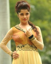 Actress Piaa Bajpai Photos 26