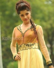 Actress Piaa Bajpai Photos 28