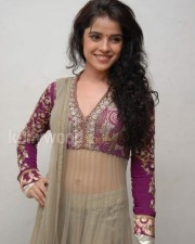 Actress Piaa Bajpai Sexy Pictures 08