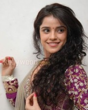 Actress Piaa Bajpai Sexy Pictures 16