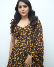 Actress Rashmi Gautam at Bomma Blockbuster Movie Pre Release Event Photos 30