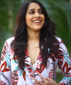 Actress Rashmi Gautam at Bomma Blockbuster Movie Success Meet Photos 21