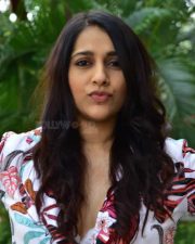 Actress Rashmi Gautam at Bomma Blockbuster Movie Success Meet Photos 35