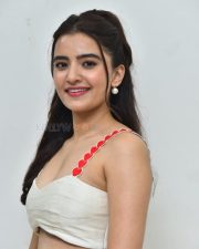 Actress Rukshar Dhillon at Dilruba Song Launch Event Pictures 12