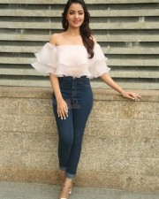 Actress Rukshar Mir Photos 04
