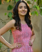 Actress Rukshar Mir Pink Dress Photos 18