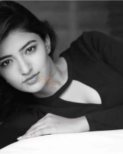 Actress Rukshar Mir Sexy Photos 08
