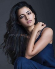 Actress Rukshar Mir Sexy Photos 14