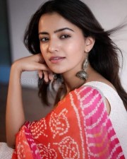 Actress Rukshar Mir Sexy Photos 15