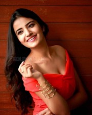 Actress Rukshar Mir Sexy Photos 21