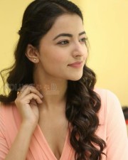 Beautiful Actress Rukshar Mir Photos 06