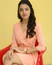 Beautiful Actress Rukshar Mir Photos 13