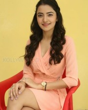 Beautiful Actress Rukshar Mir Photos 14