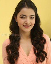 Beautiful Actress Rukshar Mir Photos 15