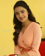 Beautiful Actress Rukshar Mir Photos 24