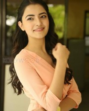Beautiful Actress Rukshar Mir Photos 42