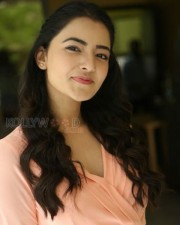 Beautiful Actress Rukshar Mir Photos 51