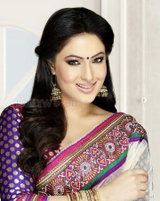 Beautiful Film Actress Nikesha Patel Traditional Saree Photo Shoot Photos 01