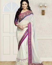 Beautiful Film Actress Nikesha Patel Traditional Saree Photo Shoot Photos 02