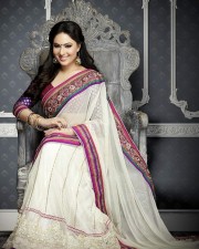 Beautiful Film Actress Nikesha Patel Traditional Saree Photo Shoot Photos 07