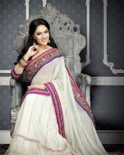 Beautiful Film Actress Nikesha Patel Traditional Saree Photo Shoot Photos 08