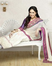 Beautiful Film Actress Nikesha Patel Traditional Saree Photo Shoot Photos 11
