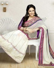 Beautiful Film Actress Nikesha Patel Traditional Saree Photo Shoot Photos 13
