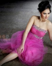 Beautiful Nikesha Patel Photos 07