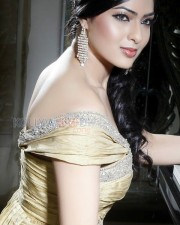 Beautiful Nikesha Patel Photos 09