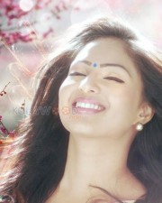 Beautiful Nikesha Patel Photos 12