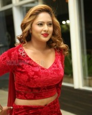British Indian Actress Nikesha Patel Latest Pictures 02